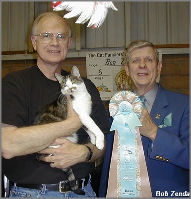 Angel Paws -- Best HHPet